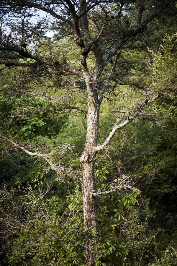 Letamo At Qwabi Private Game Reserve By Newmark Bela-Bela Zewnętrze zdjęcie